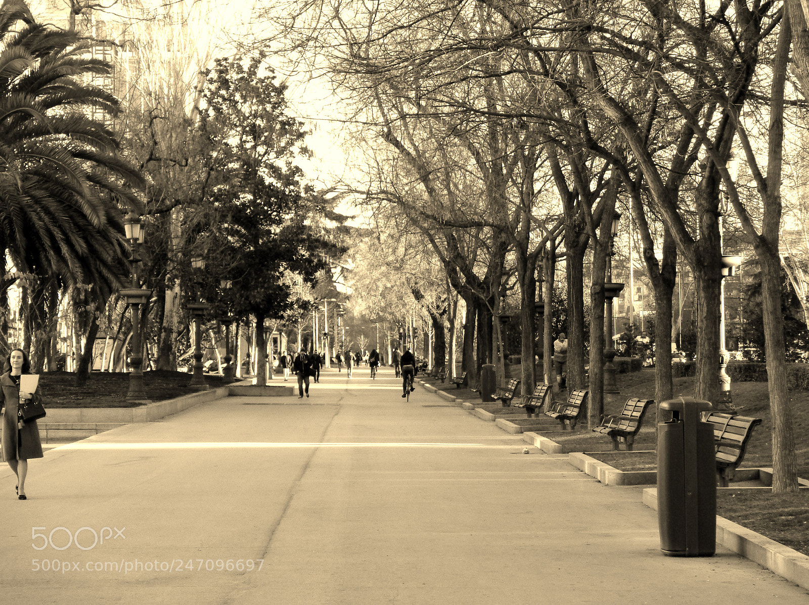 Sony Cyber-shot DSC-W830 sample photo. De cibeles a colon () photography