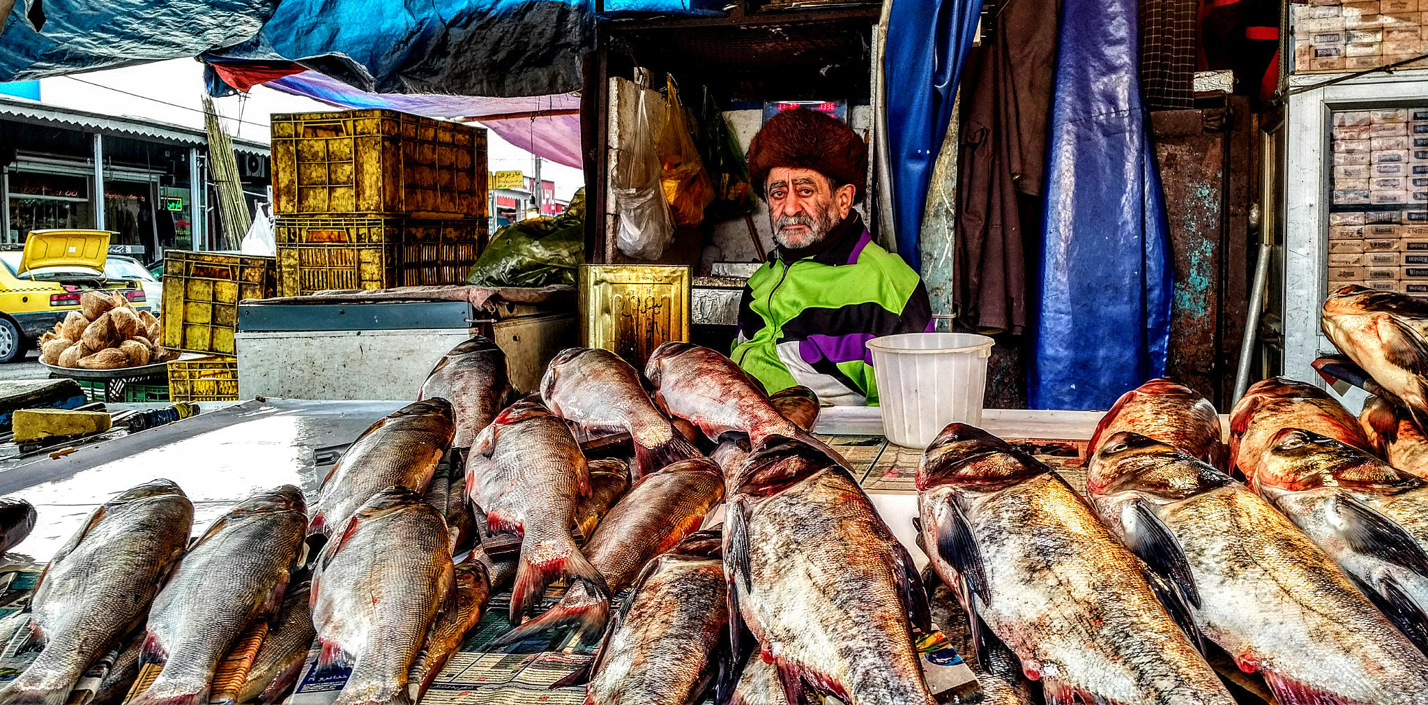 QCOM-AA QCAM-AA sample photo. Fisherman photography