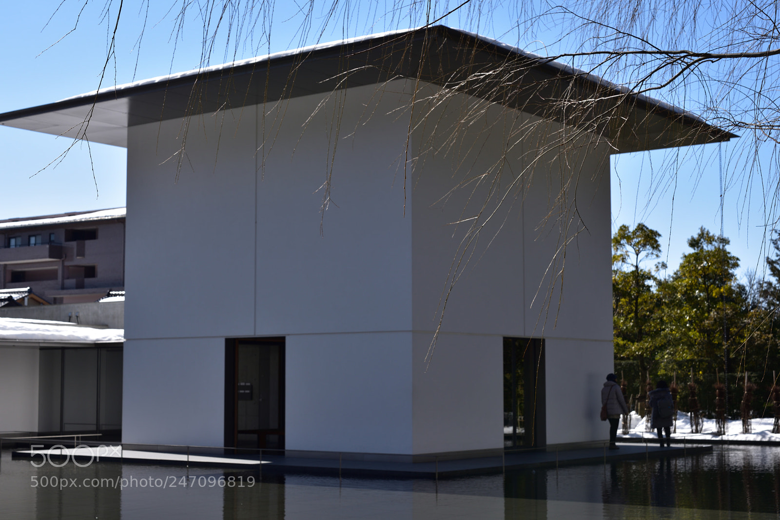 Nikon AF-S Micro-Nikkor 60mm F2.8G ED sample photo. 鈴木大拙館 金沢本多町 photography