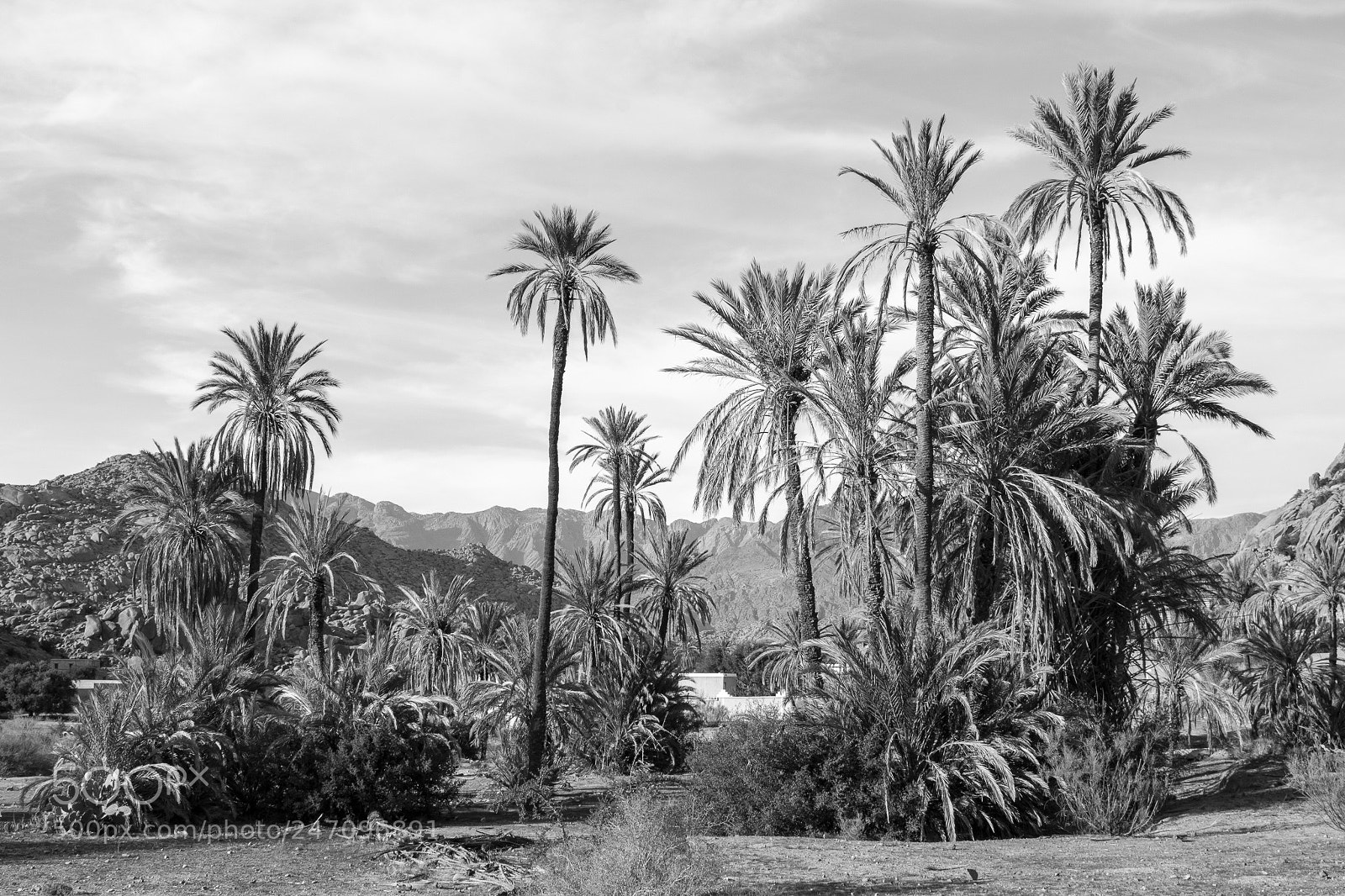 Nikon D5200 sample photo. Tafraoute, anti-atlas, marruecos. photography