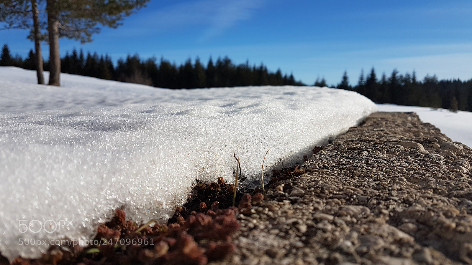 Samsung Galaxy S7 Edge sample photo. Thin snow photography