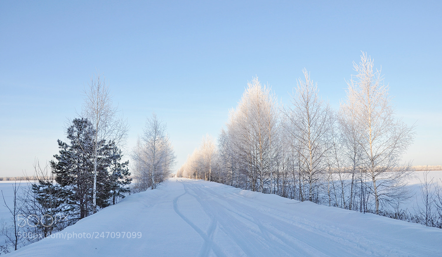 Nikon D90 sample photo. Зимняя дорога... светлой лентой вдаль... photography