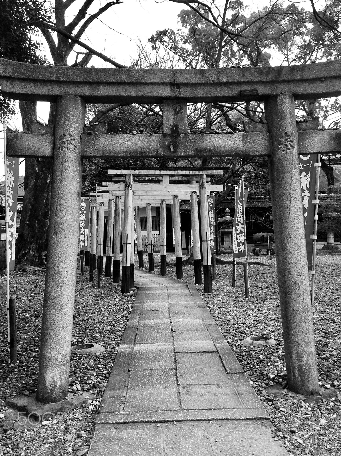 Apple iPad mini 2 sample photo. Toyokuni jinja shrine photography