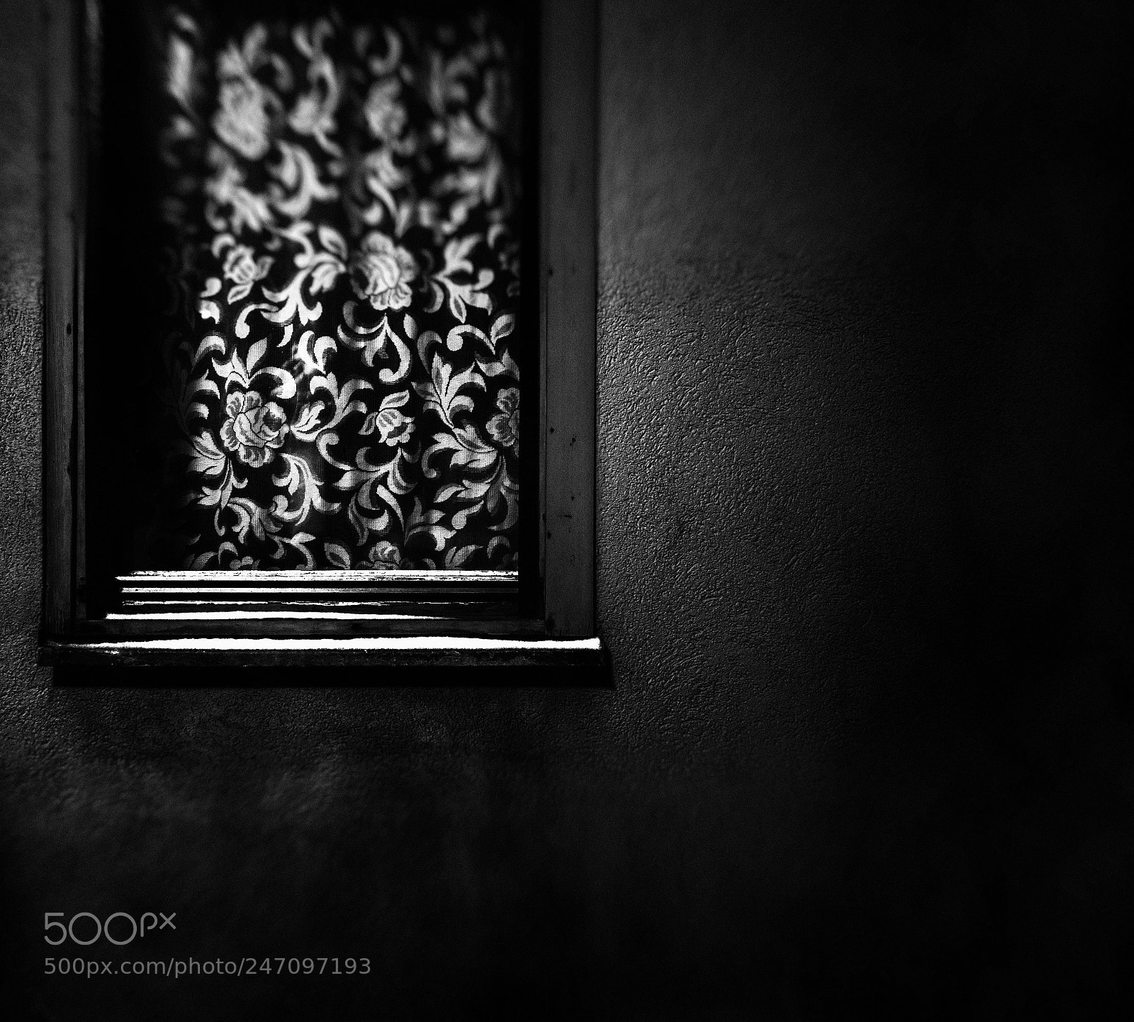 Nikon D810 sample photo. Untitled photography