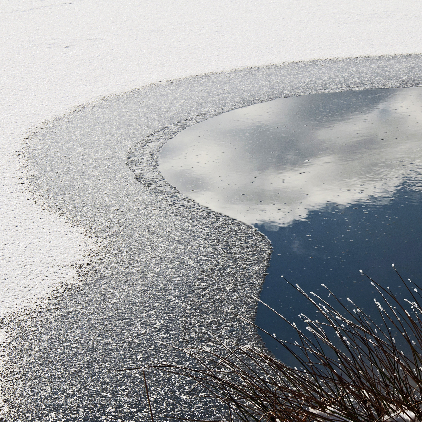 Nikon D90 sample photo. Frozen photography