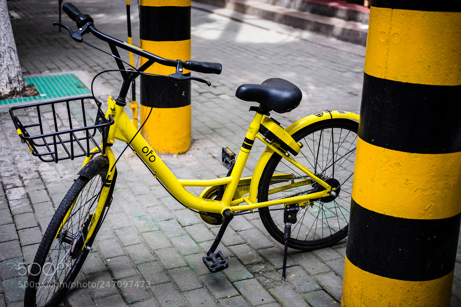 Fujifilm X-T1 sample photo. Dscf photography