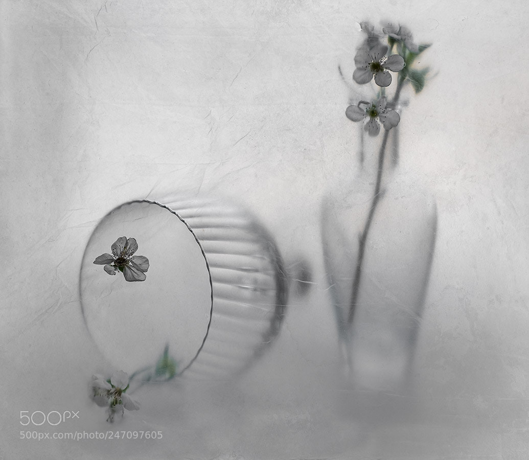 Fujifilm X-T1 sample photo. Transparent still life photography