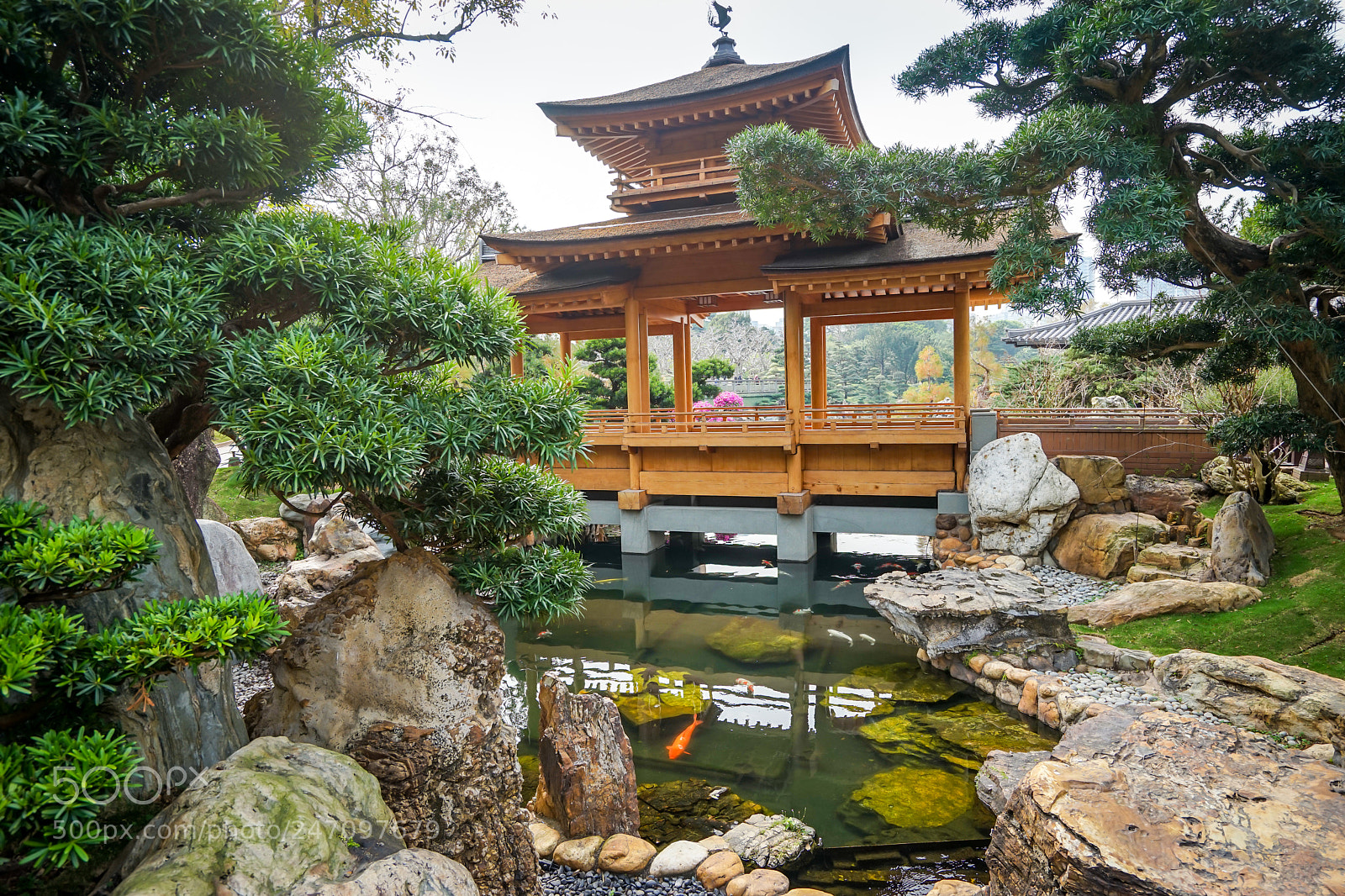 Sony a7 sample photo. Zen moment : japanese garden photography