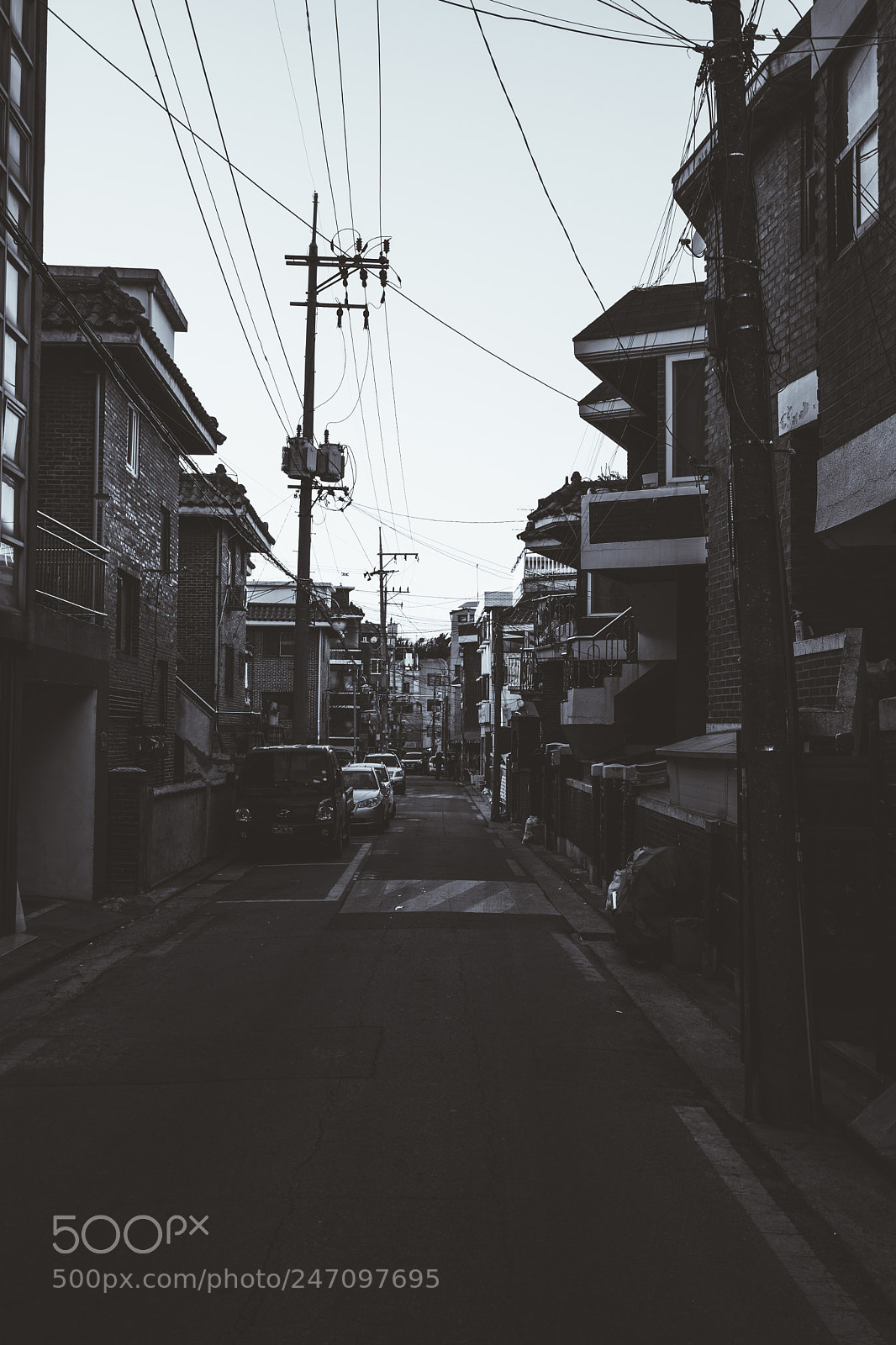 Sony a7 II sample photo. Untitled photography