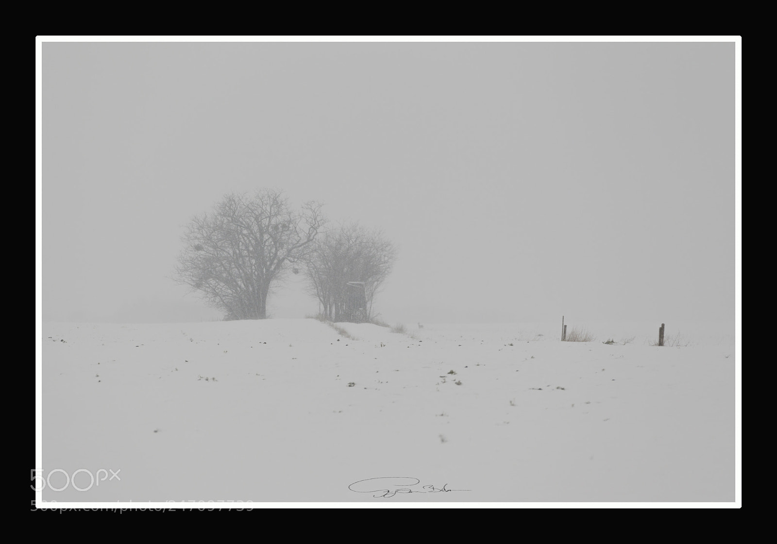 Canon EOS-1D Mark IV sample photo. Winter tale photography