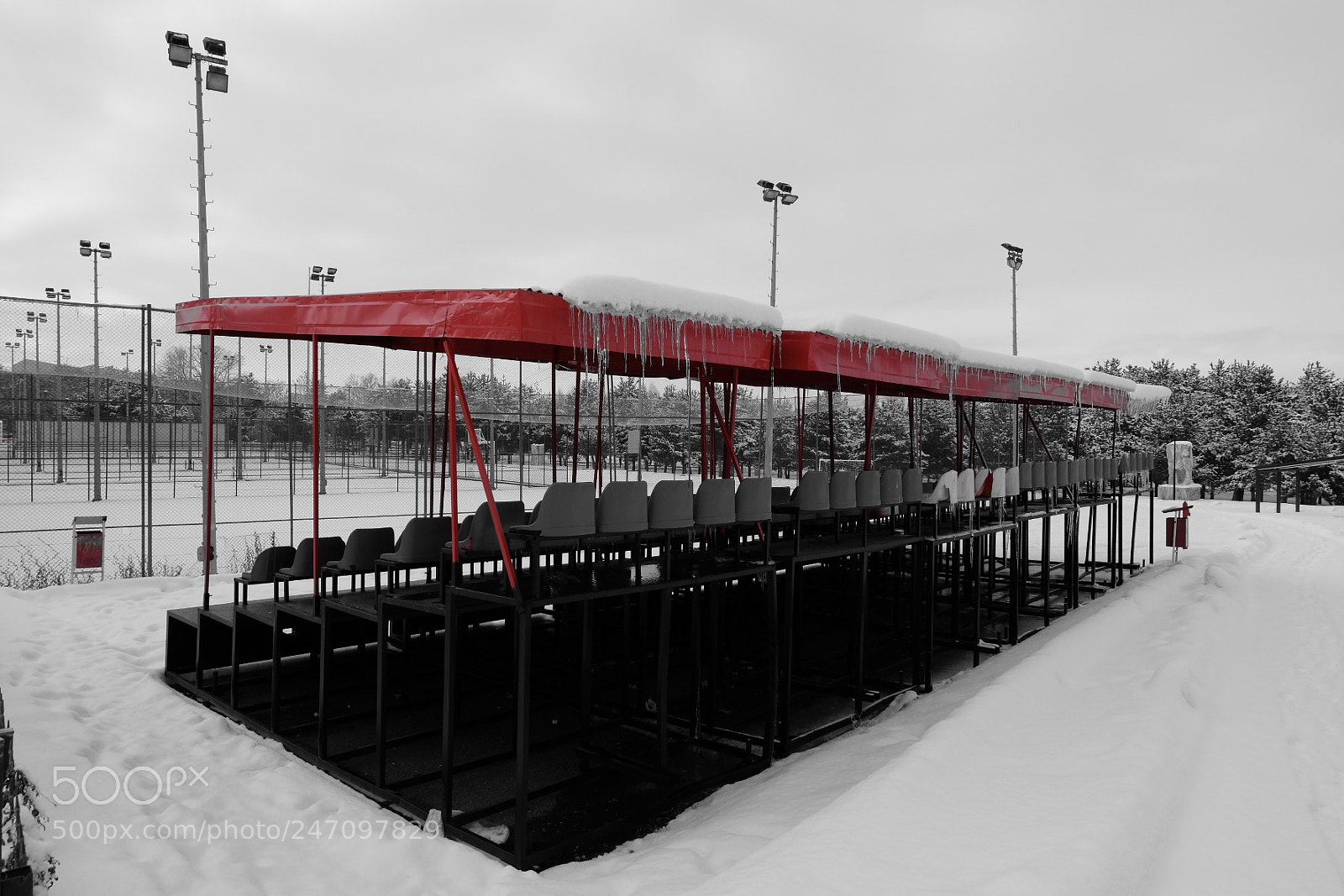 Fujifilm X-T20 sample photo. Winter olympics!!? photography