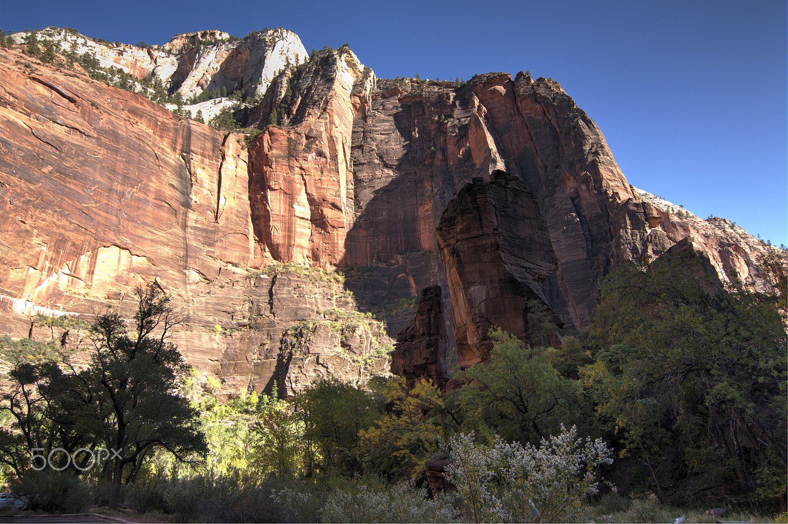 Nikon D90 sample photo. Zion nat park 2017 photography