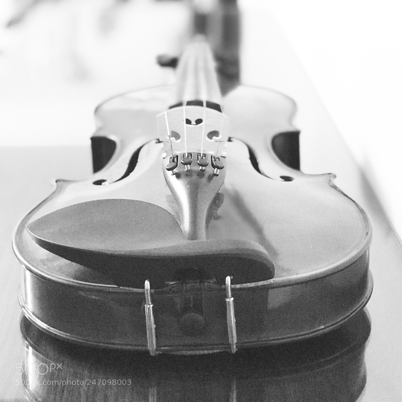 Apple iPhone 7 Plus sample photo. Violin ? photography