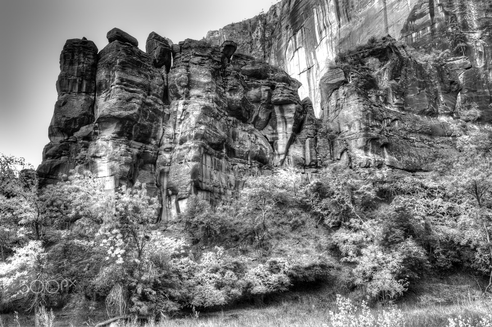 Nikon D90 sample photo. Zion nat park 2017 photography