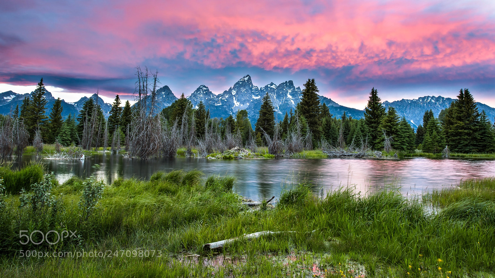 Nikon D810 sample photo. Teton lights x photography