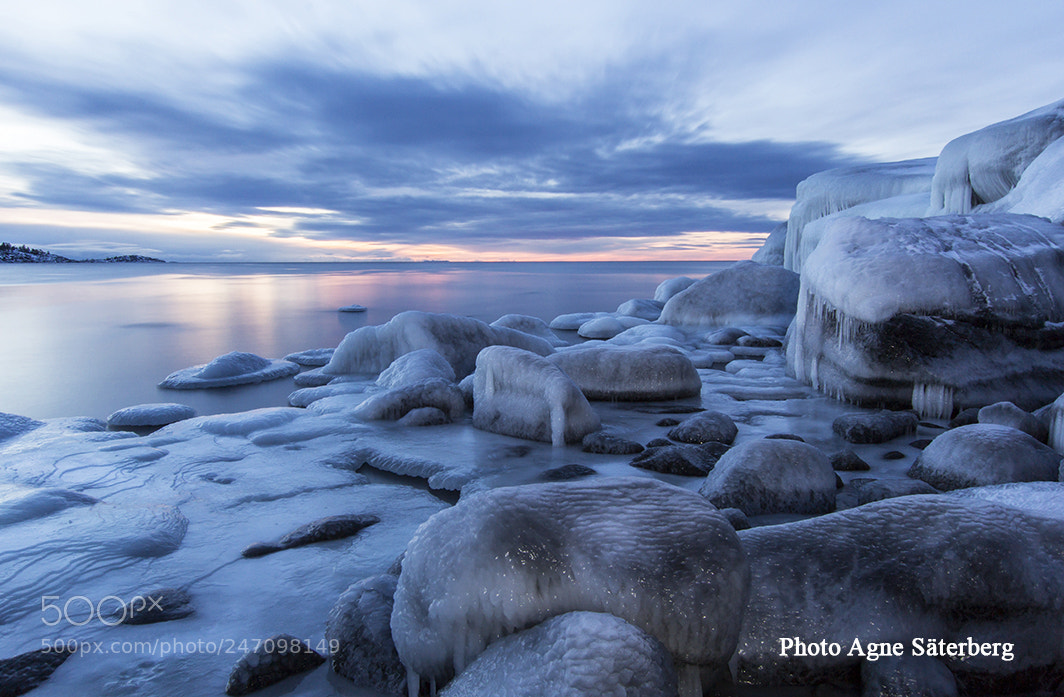 Canon EOS 60D sample photo. Ice everywhere photography
