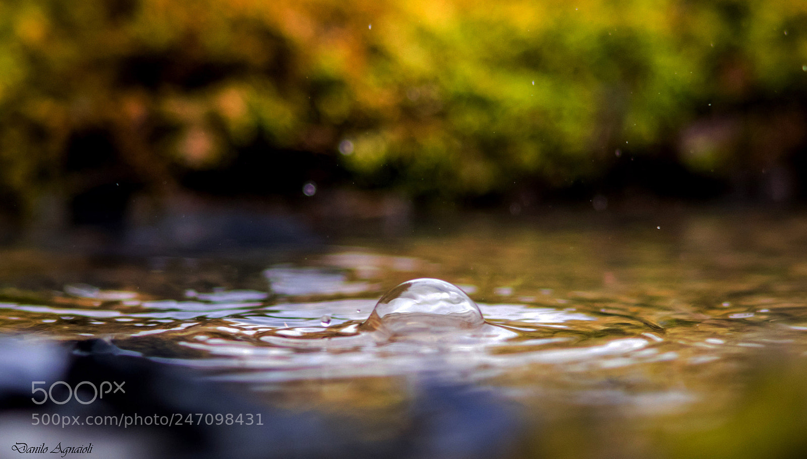 Canon EOS 7D Mark II sample photo. E niente da fare photography
