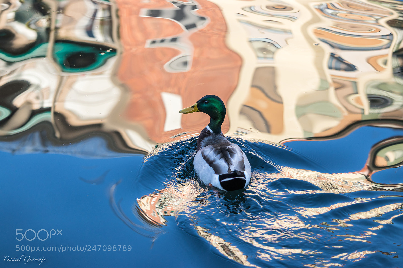 Canon EOS 80D sample photo. Reflections @ navigli photography