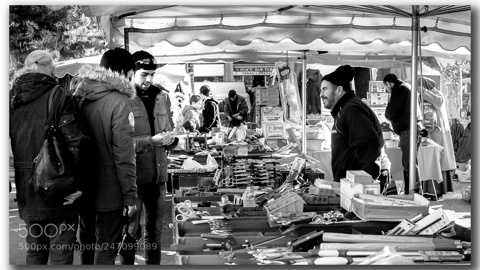 Canon EOS 60D sample photo. Les puces 6 photography