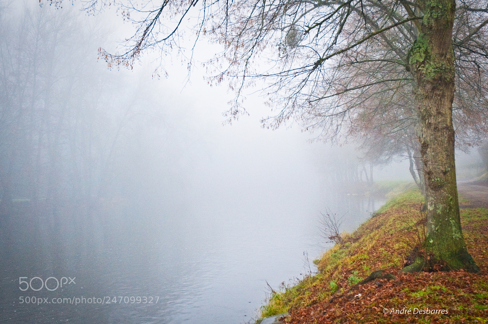 Nikon D3 sample photo. Winter fog on argenton photography