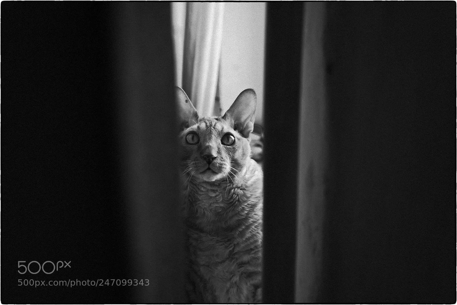 Sony a7S sample photo. **** photography