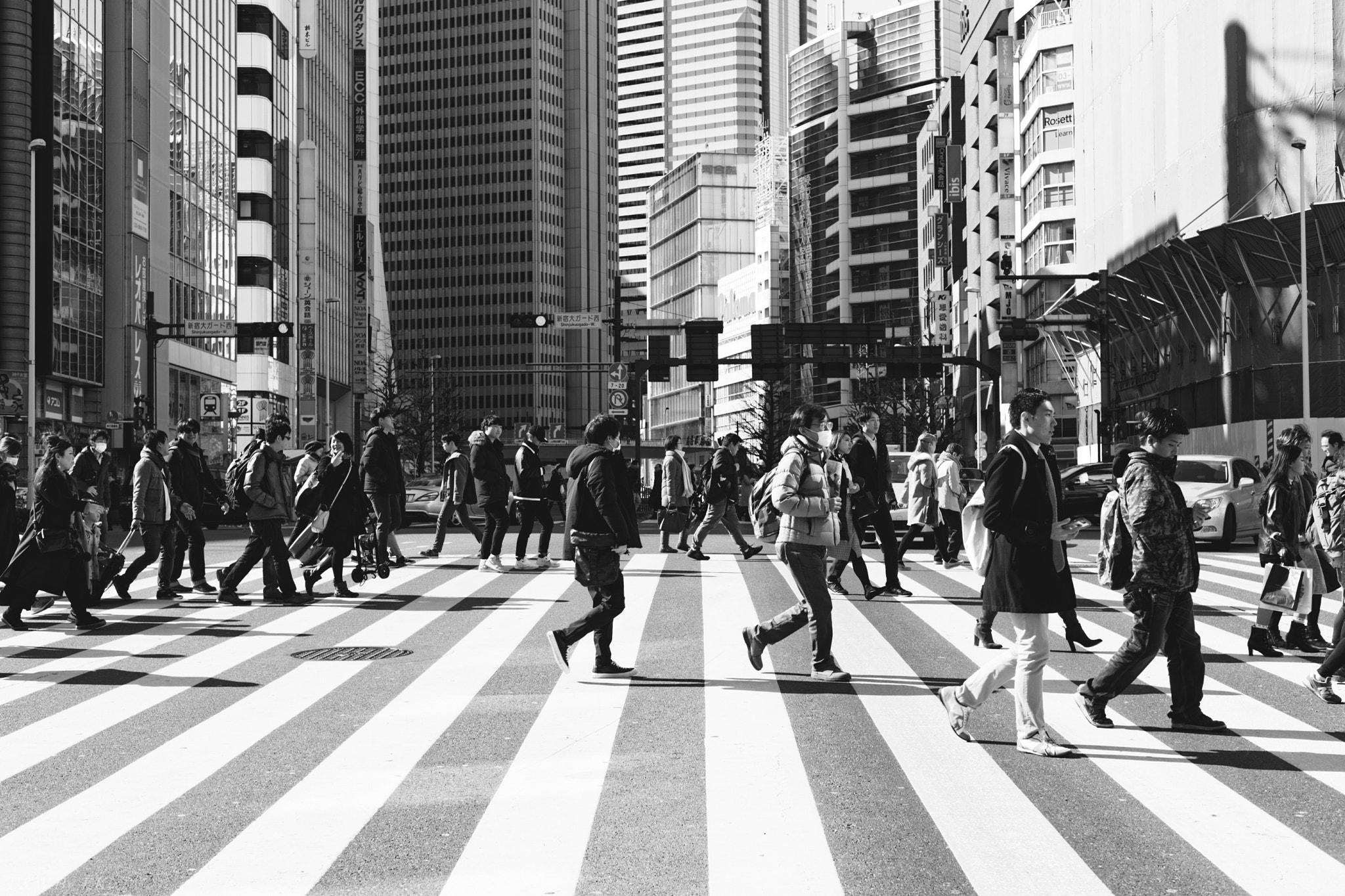 Nikon D750 + Nikon AF Nikkor 50mm F1.8D sample photo. #89 photography