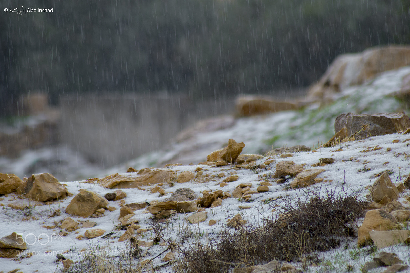 Nikon D3200 sample photo. Raining photography