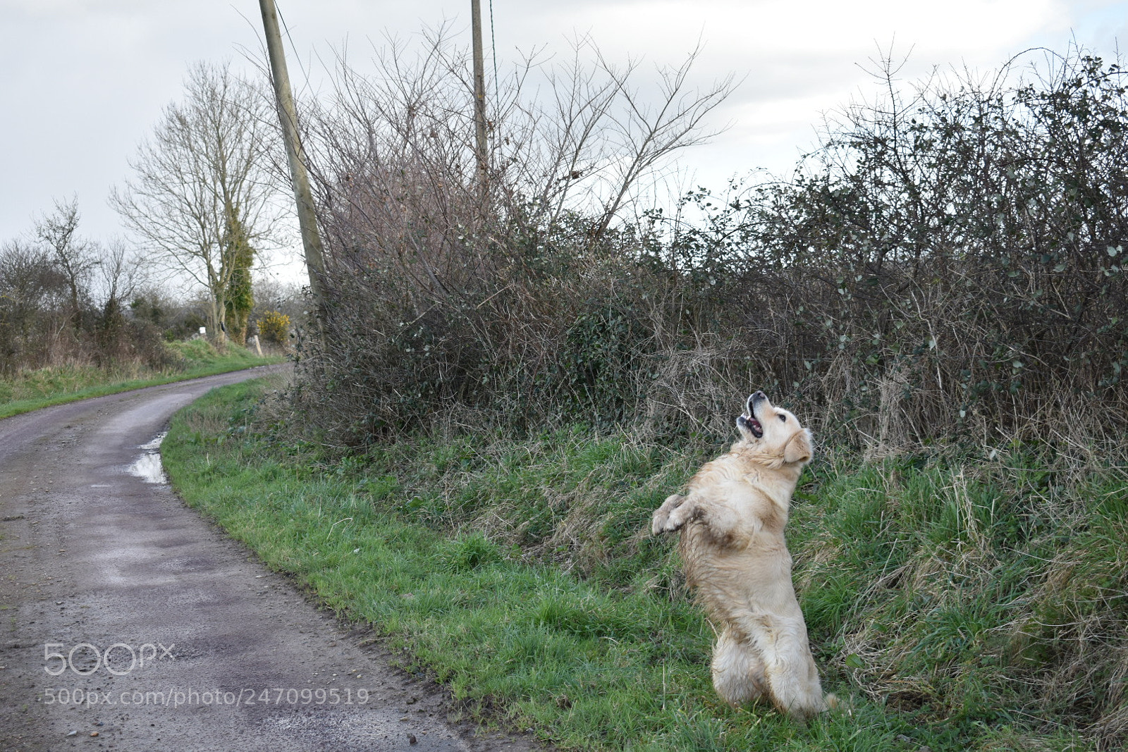 Nikon D3400 sample photo. Jazz photography