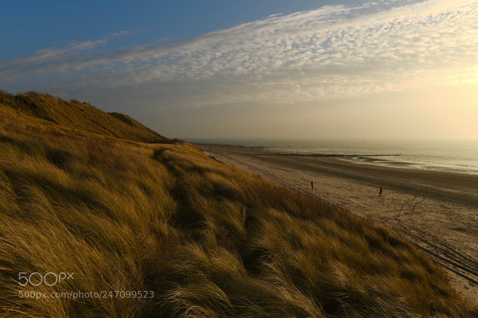 Nikon D850 sample photo. Dutch dunes photography
