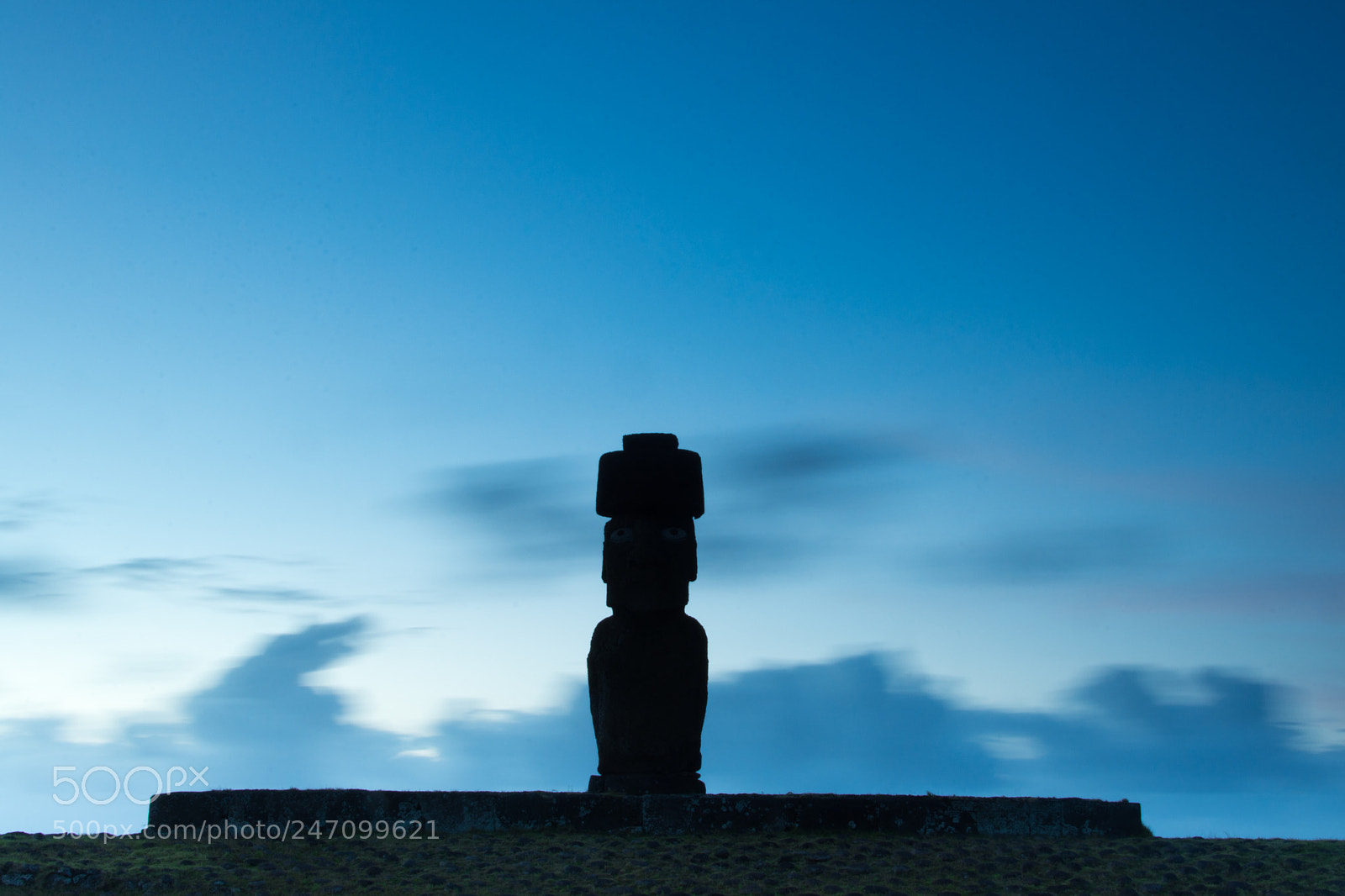 Nikon D7200 sample photo. Standing alone photography