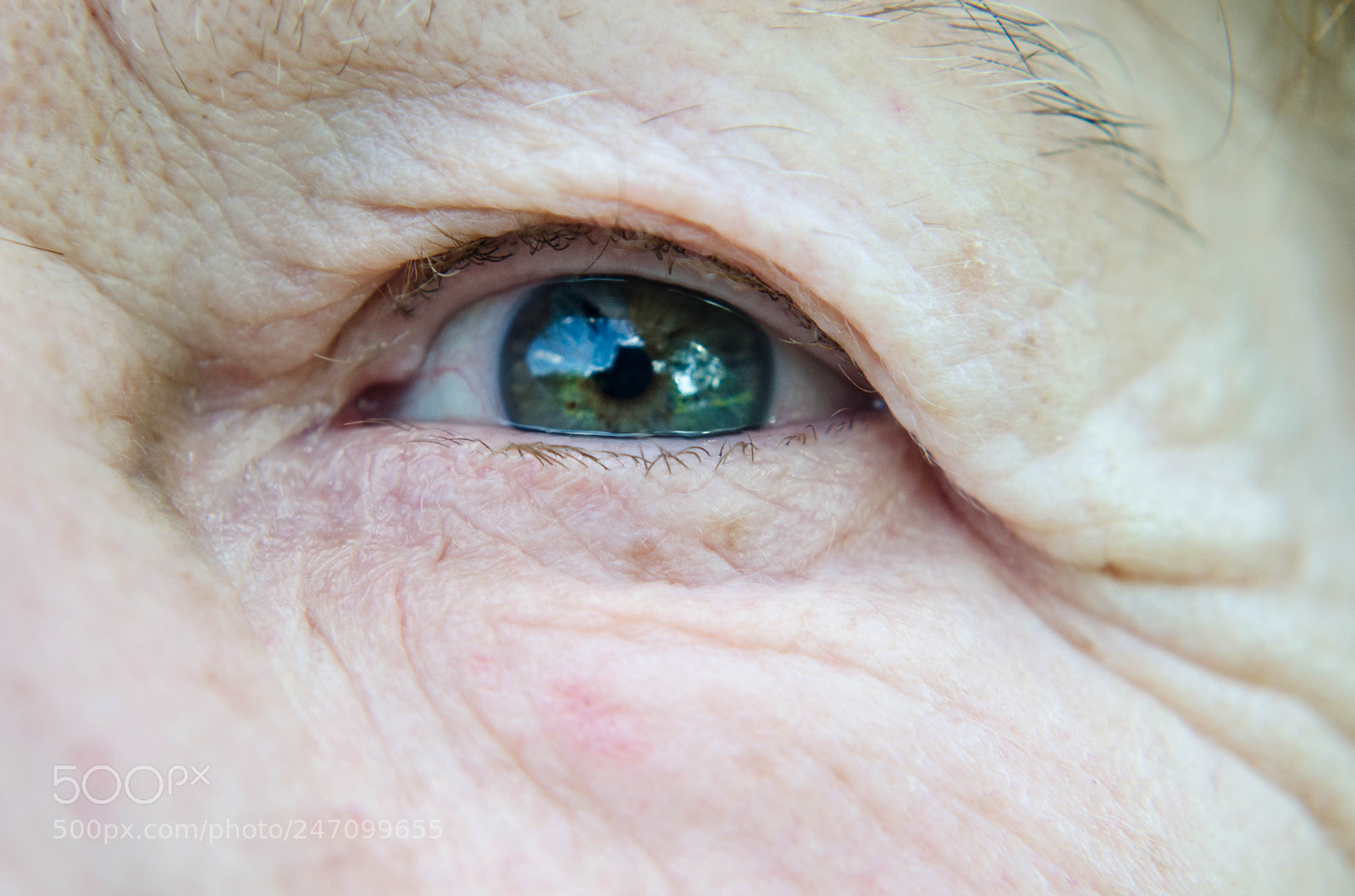 Nikon D5100 sample photo. Eyes two photography