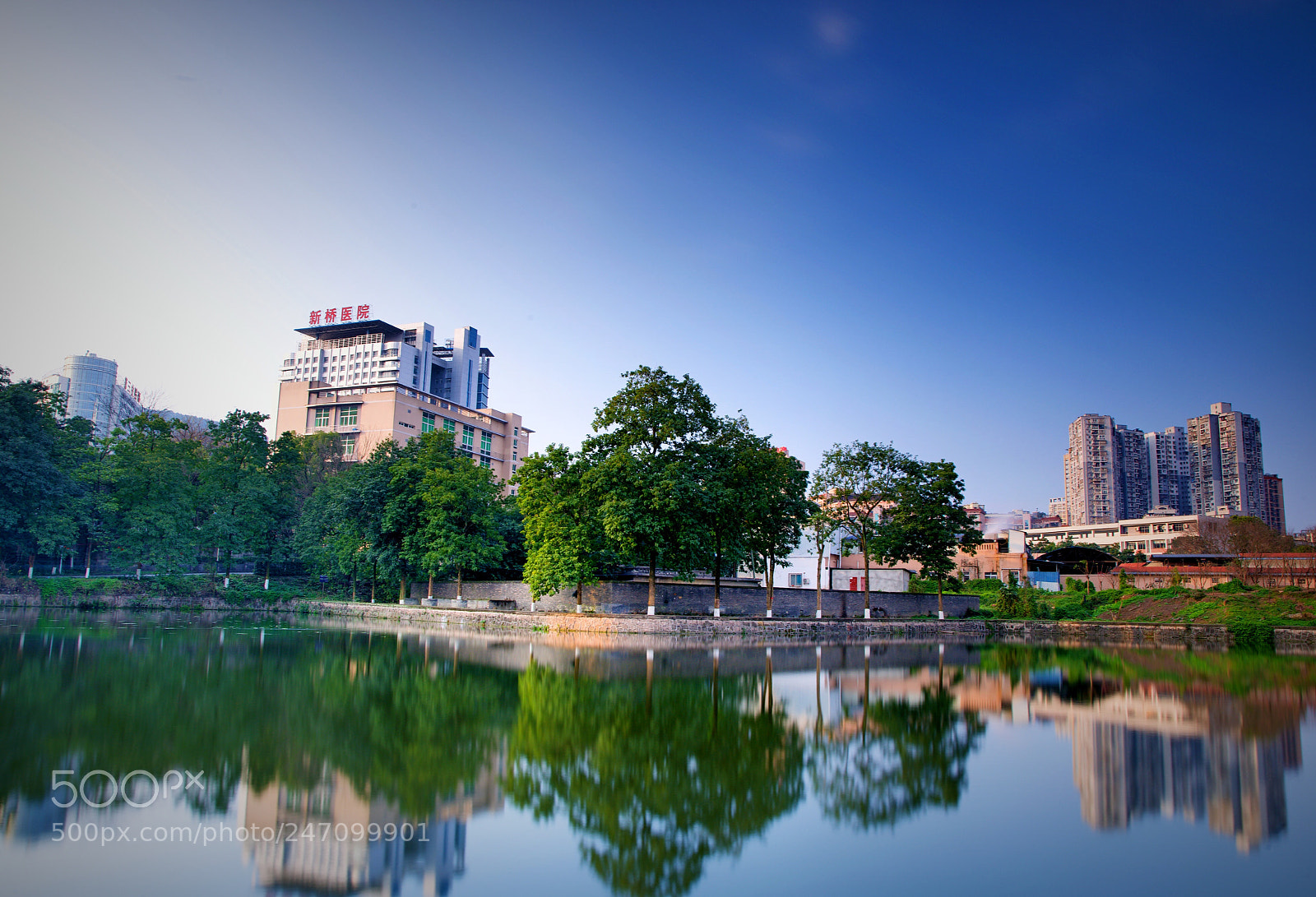 Nikon D800 sample photo. 早春二月 photography