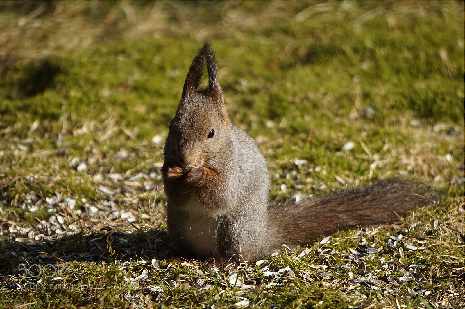 Sony Alpha a5000 (ILCE 5000) sample photo. Lunch photography