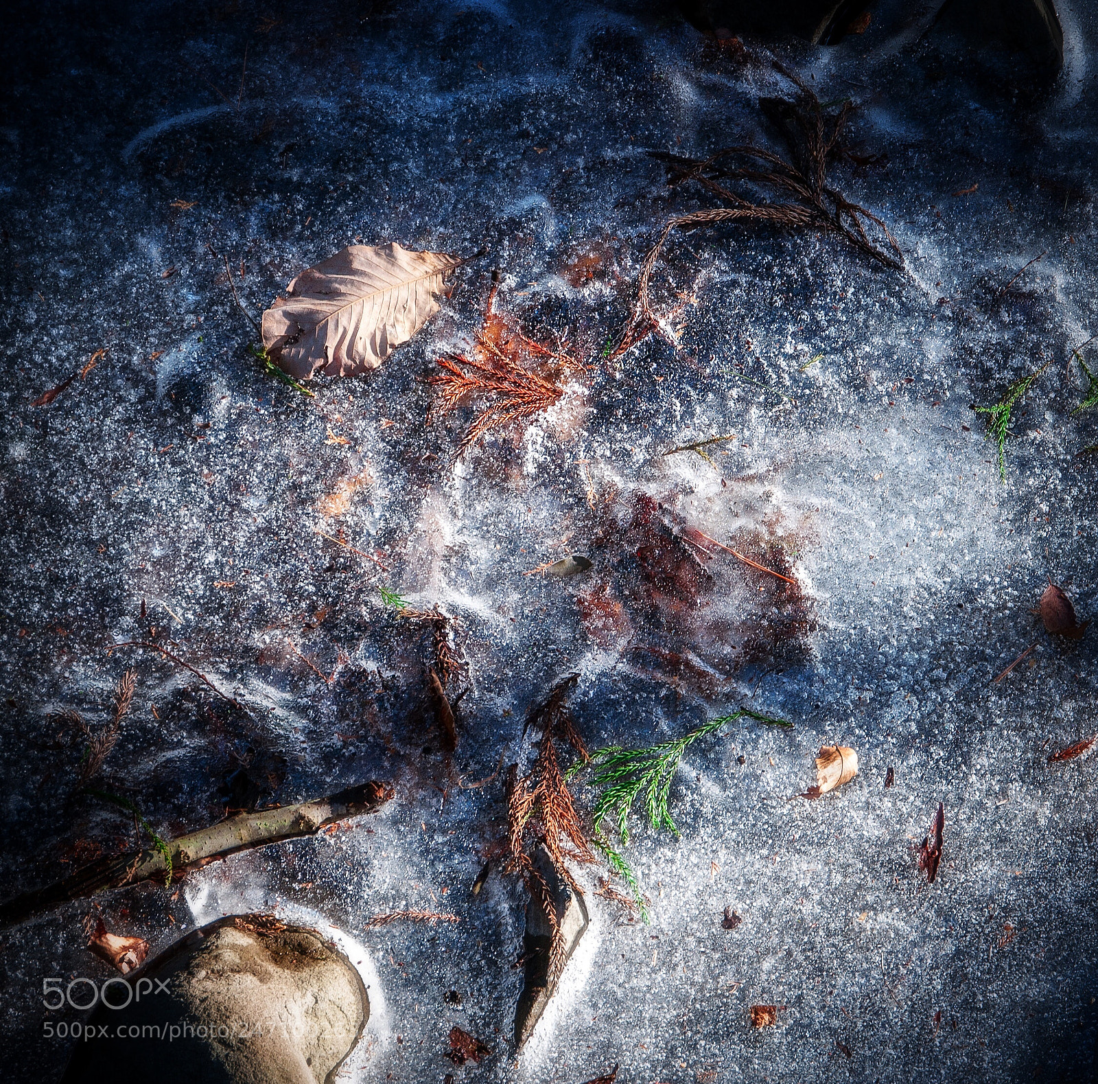 Nikon D90 sample photo. Nature's drawing board photography