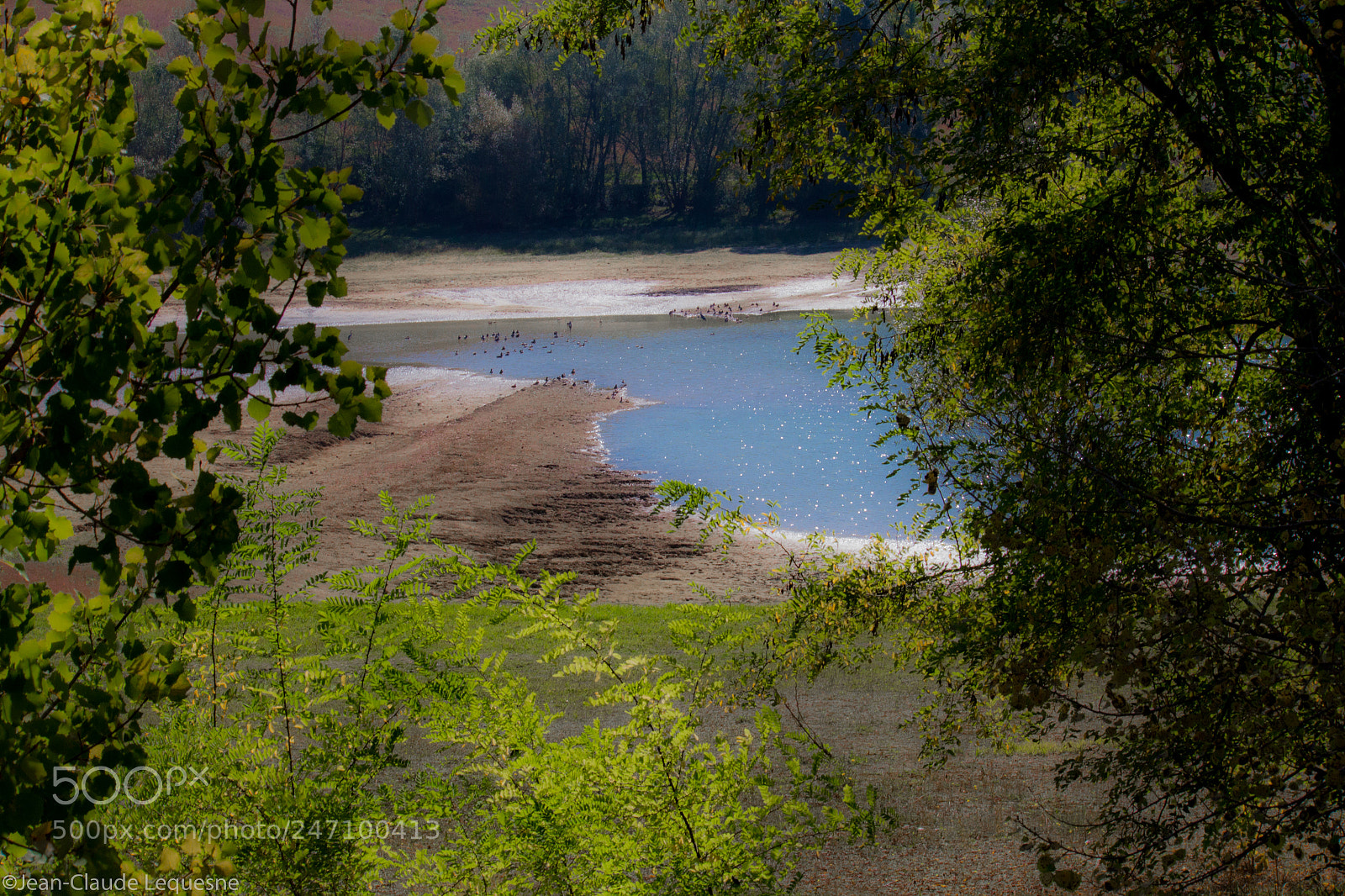 Canon EOS 60D sample photo. Autour du lac 20 photography