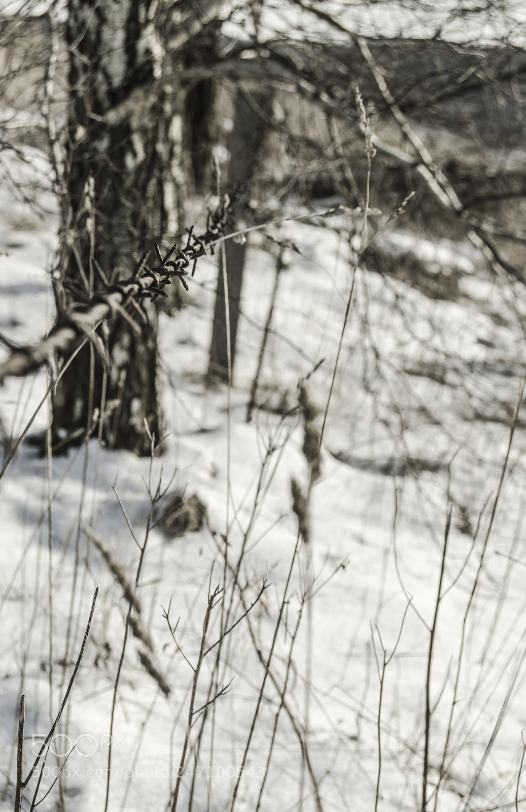 Nikon D3200 sample photo. There is no way photography