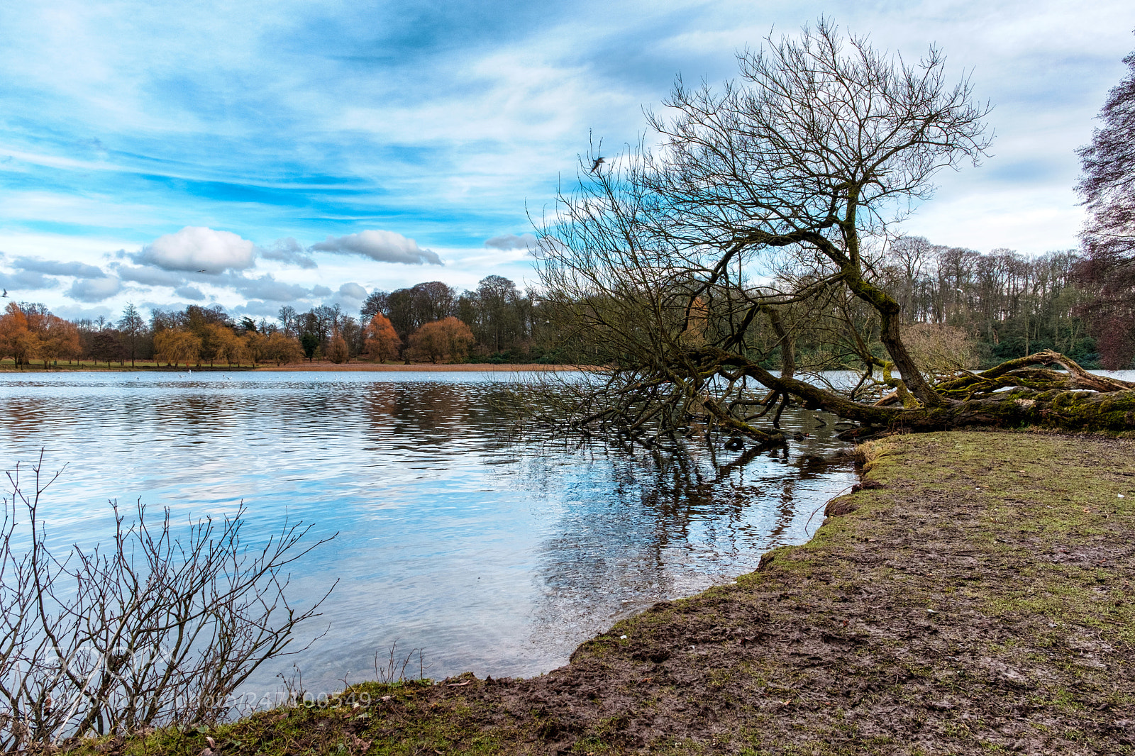Fujifilm X-T2 sample photo. Wollaton photography