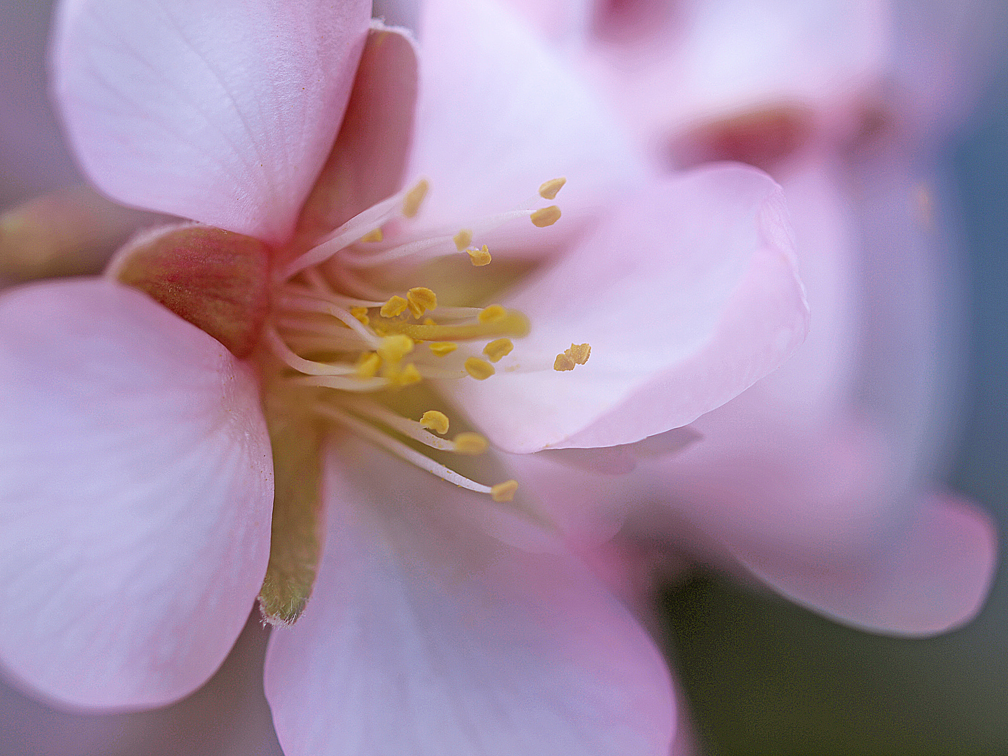 Olympus E-30 sample photo. Color. photography