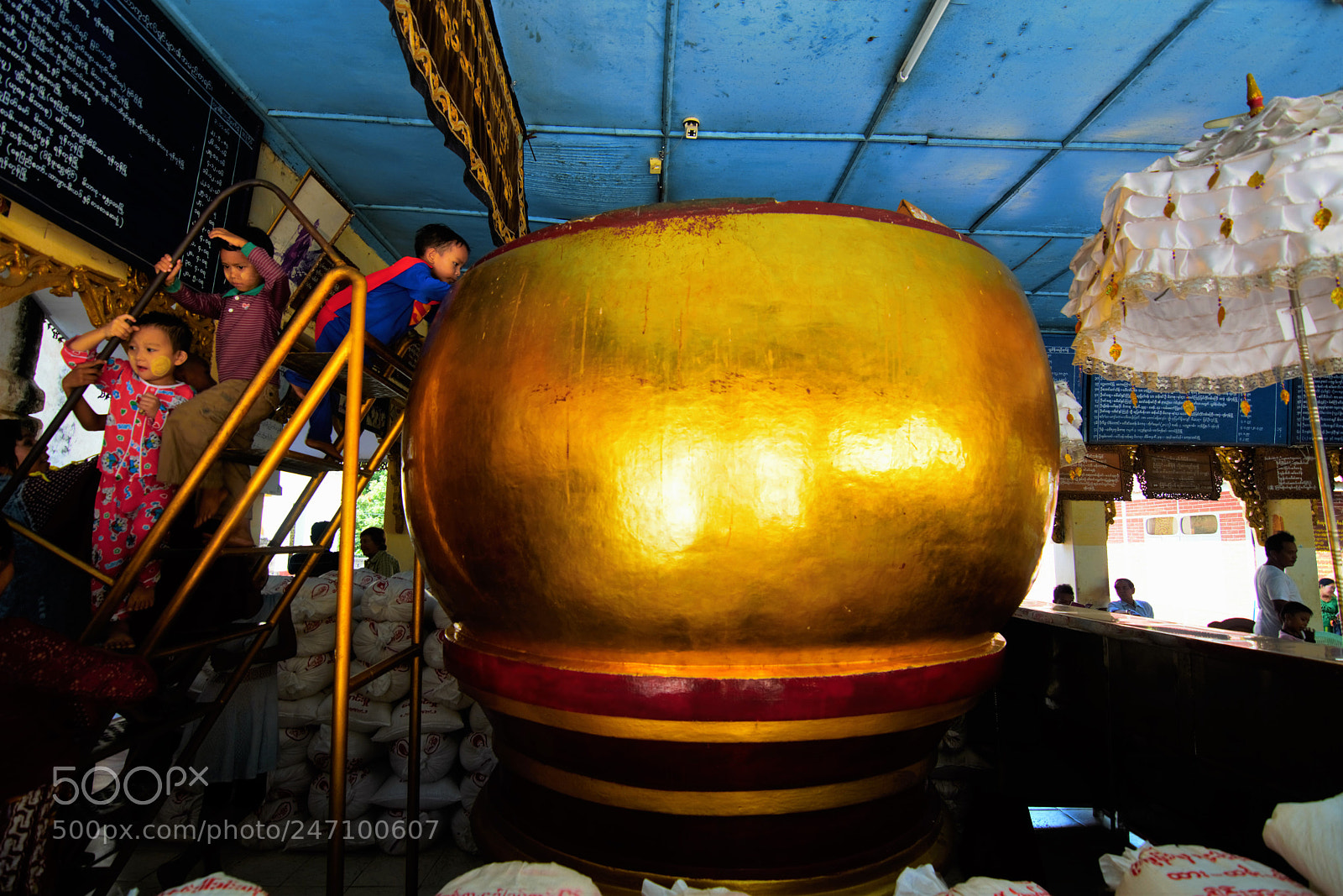 Nikon D5200 sample photo. Superman and the golden photography