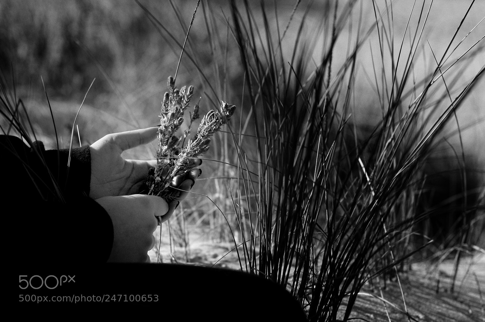 Canon EOS 30D sample photo. Everything is impermanent photography