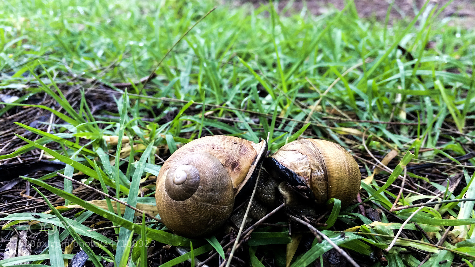 Apple iPhone 5s sample photo. Untitled photography