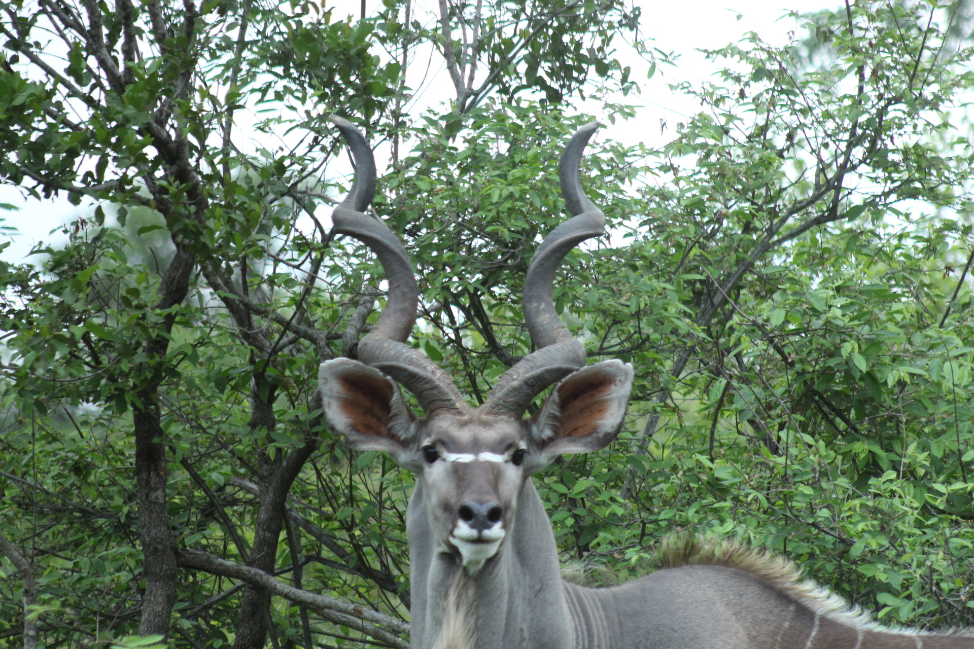 EF75-300mm f/4-5.6 sample photo. Img photography