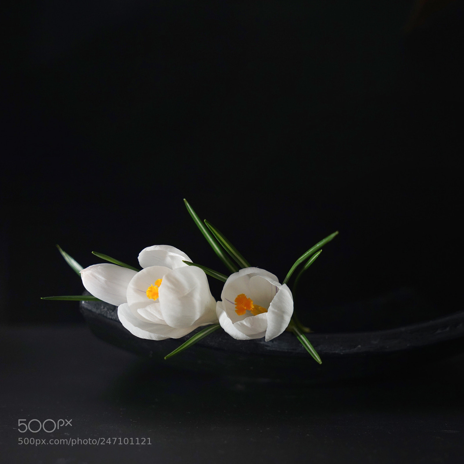 Sony a7R sample photo. Untitled photography