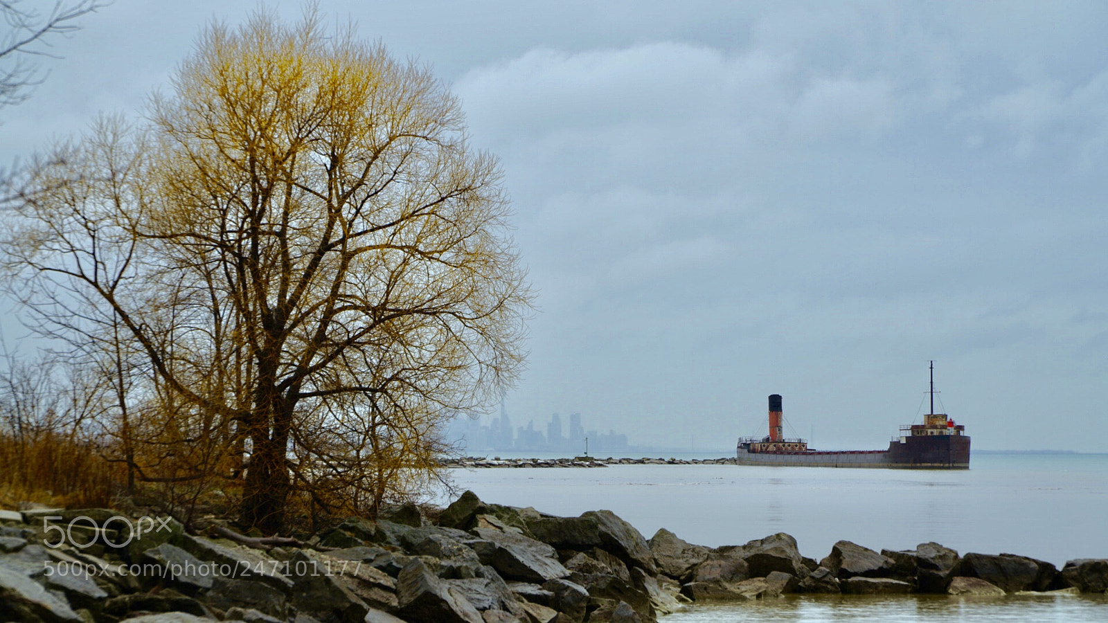 Sony a7R II sample photo. Raining at early spring photography