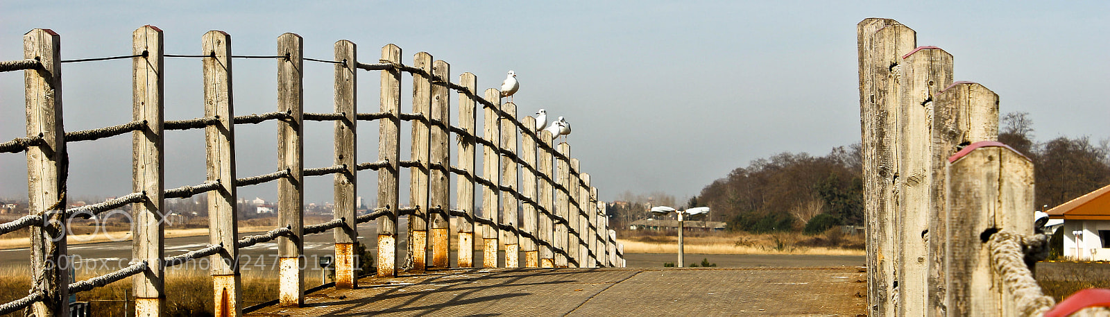 Canon EOS 600D (Rebel EOS T3i / EOS Kiss X5) sample photo. Photo by r.v photography