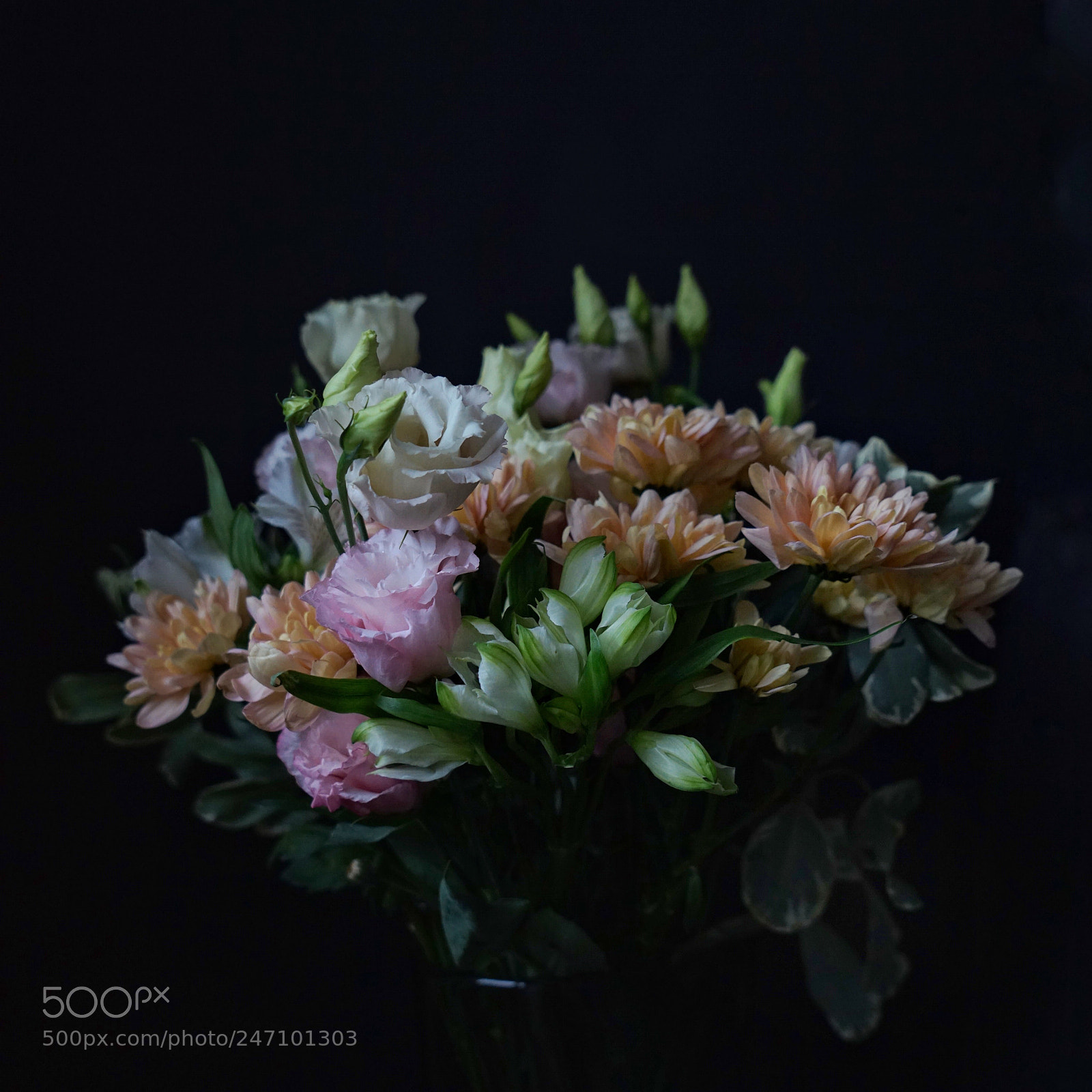 Sony a7R sample photo. Untitled photography