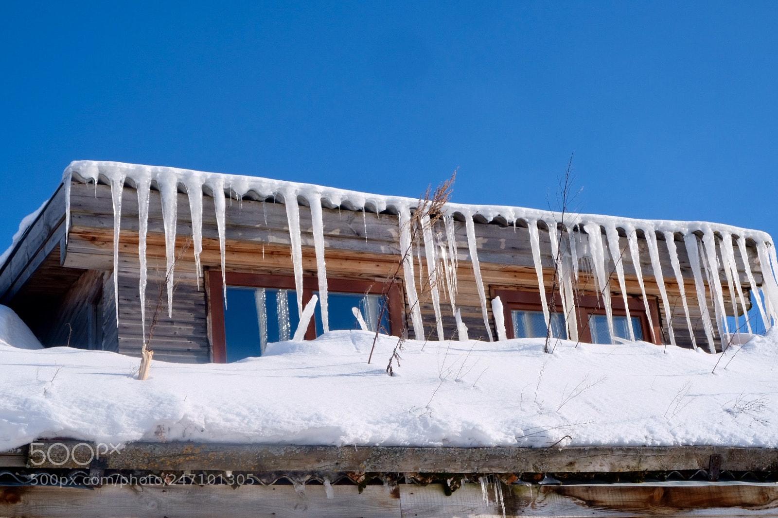 Fujifilm X-T20 sample photo. Icicle photography