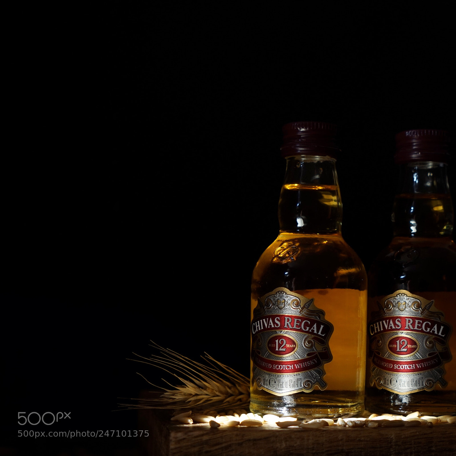 Sony a7R sample photo. Untitled photography