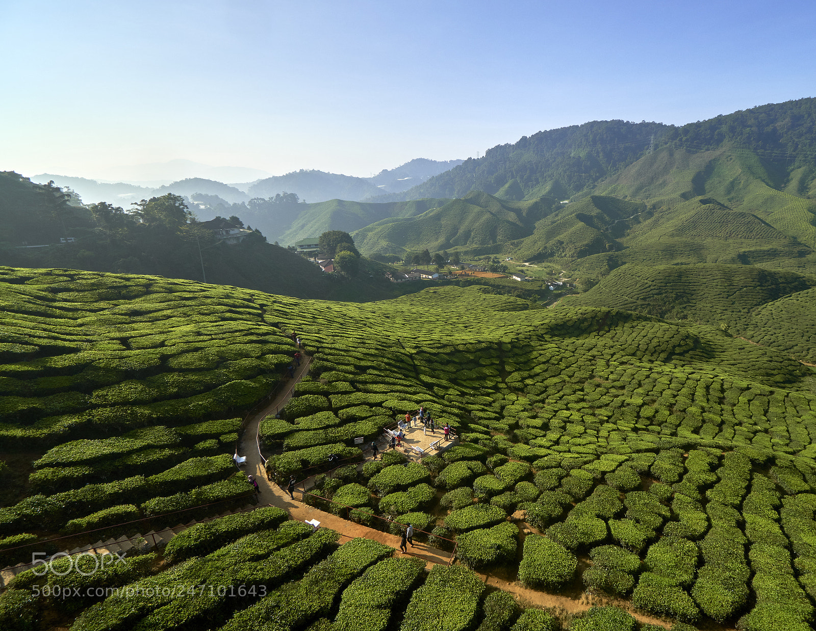 Sony a6300 sample photo. Morning photography