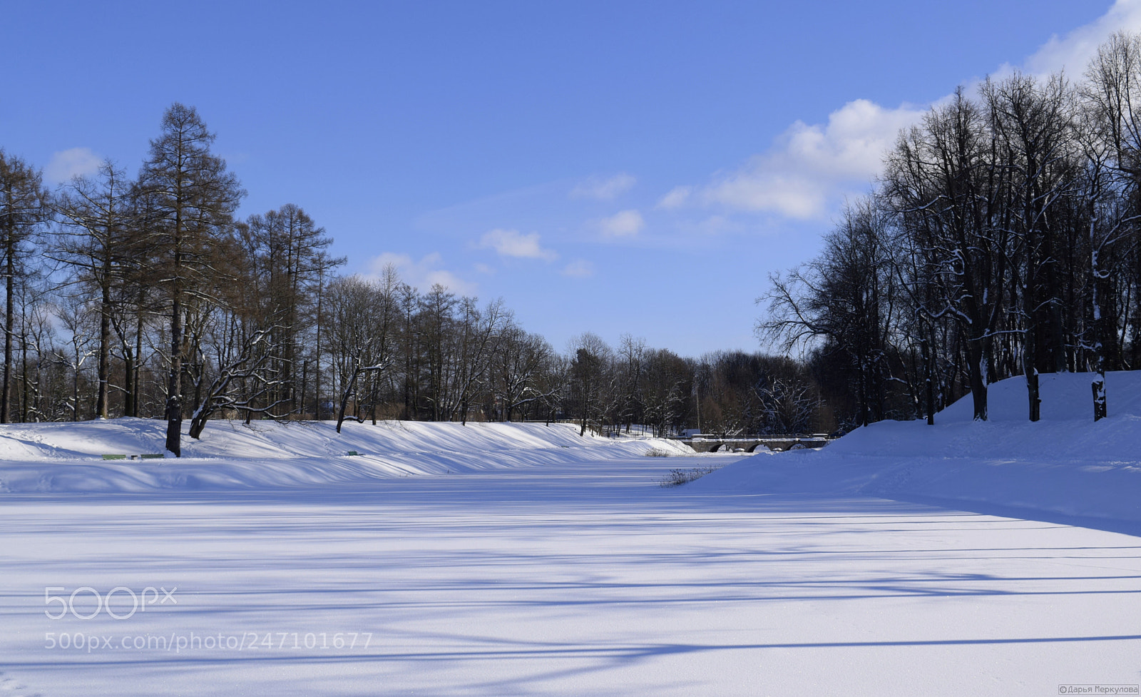 Nikon D3300 sample photo. Зимний пейзаж Гатчинского Дворцового парка photography